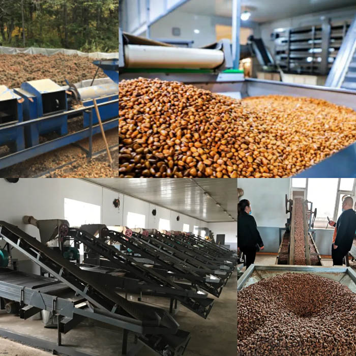 【夢(mèng)想聚團(tuán)隊(duì) 團(tuán)隊(duì)創(chuàng)輝煌】西微雅團(tuán)建活動(dòng)——長(zhǎng)白山之旅(圖20) 【夢(mèng)想聚團(tuán)隊(duì) 團(tuán)隊(duì)創(chuàng)輝煌】西微雅團(tuán)建活動(dòng)——長(zhǎng)白山之旅(圖20)