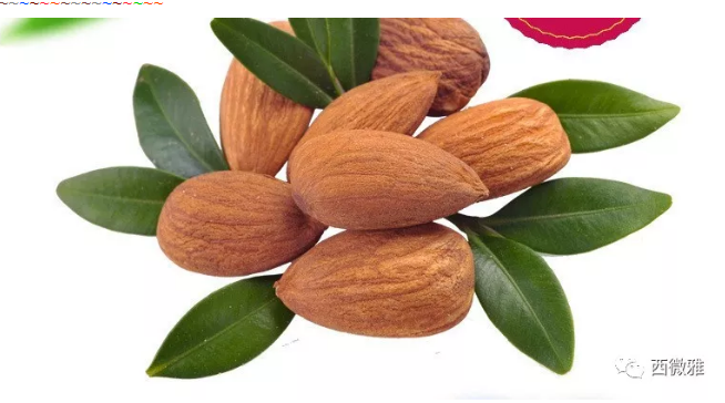 貴族堅果-加州扁桃仁(圖1) 貴族堅果-加州扁桃仁(圖1)